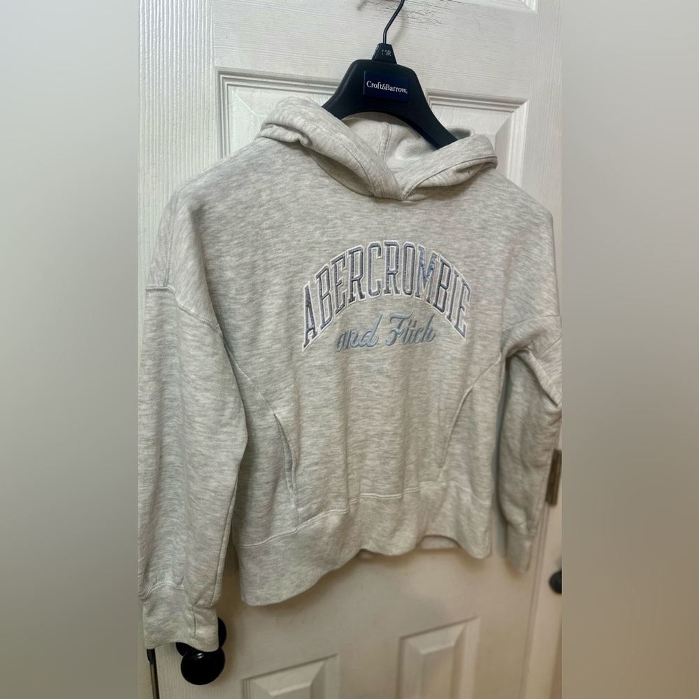 Abercrombie Kids Heather Grey Embroidered Hoodie, 11/12